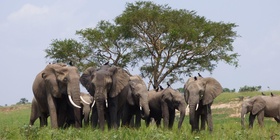 3 National Parks in 8 Days